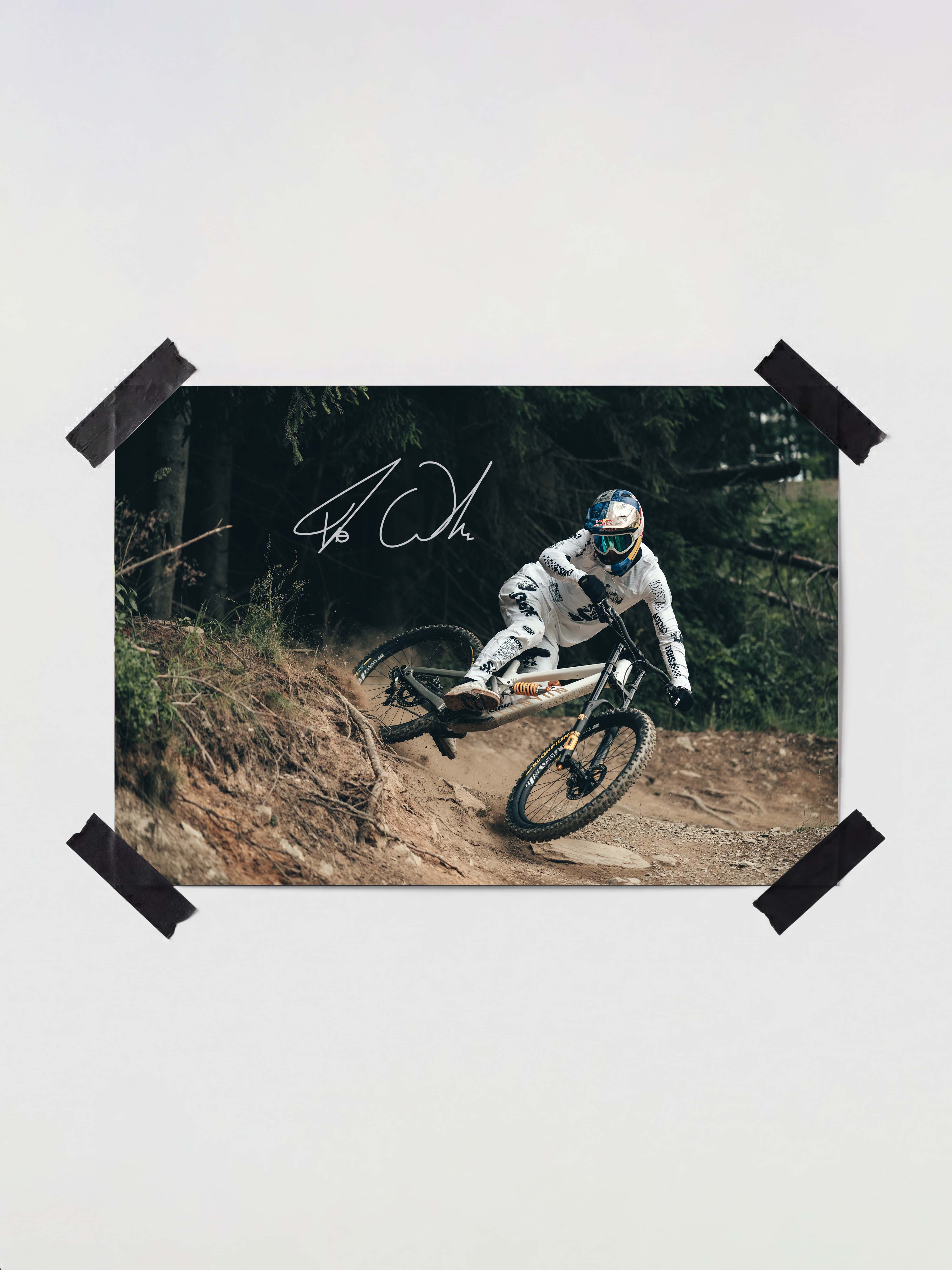 mountainbike poster fabio wibmer 